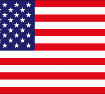 USA Flags
