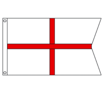 Fleet Surgeon Flag