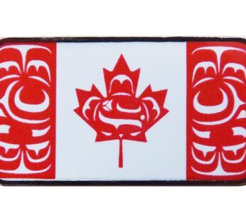 Canadian Indigenous Flag Enamel Pin