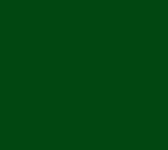200D Dartmouth Green Nylon (62″)