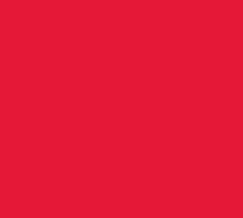 200D O.G. Red Nylon (62″)