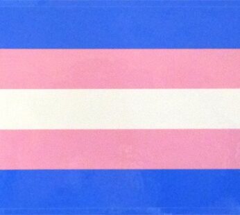 Transgender 3.25″x5″ Vinyl Decal (New!)