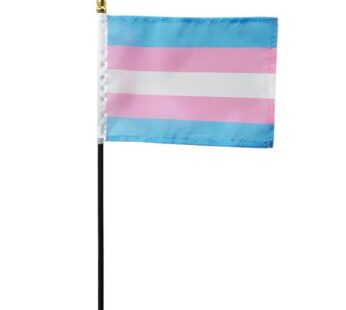 Transgender Stick Flags