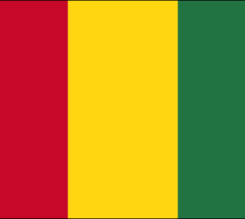 Guinea Flags