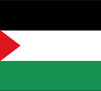 Palestine Flags