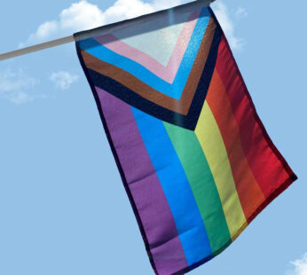 Inclusive Pride 12″x18″ Stick Flag
