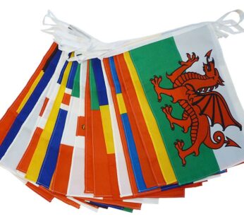 2015 Pan Am Pennant Strings, 80′