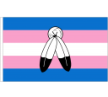 Two Spirit Transgender Flag